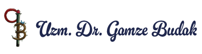 Dr. Gamze Budak